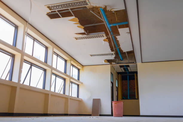 Best Professional water damage repair  in Pomeroy, WA