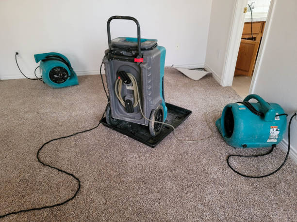 Best Water damage restoration near me  in Pomeroy, WA