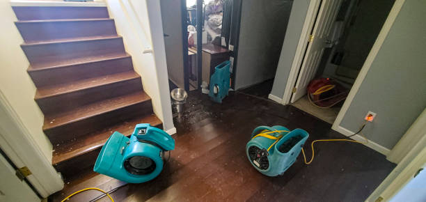 Best Local water damage restoration  in Pomeroy, WA