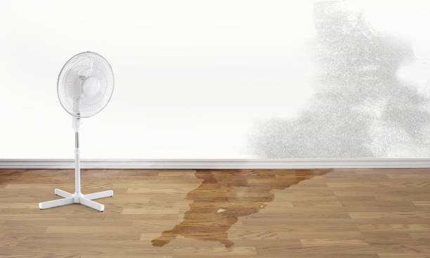 Best Commercial water damage restoration  in Pomeroy, WA