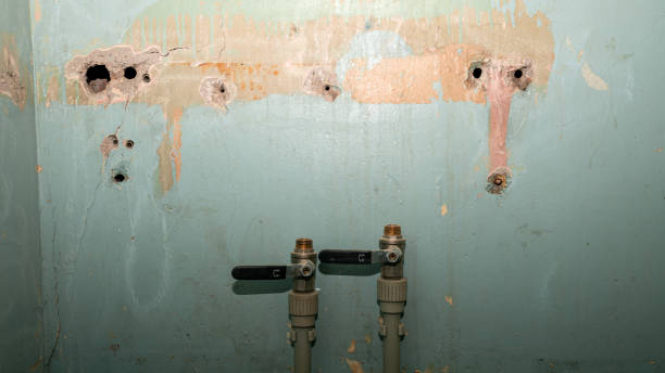 Best Emergency water extraction  in Pomeroy, WA