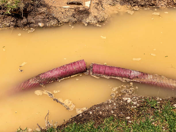 Best Basement water damage restoration  in Pomeroy, WA