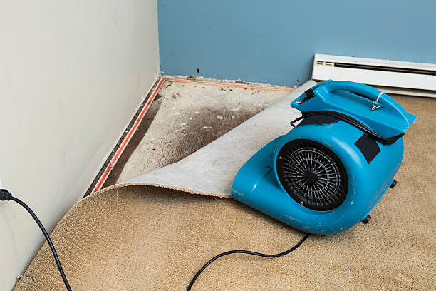 Best Flood restoration services  in Pomeroy, WA